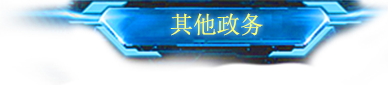 其他政务
